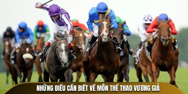 Những điều cần biết về môn thể thao vương giả
