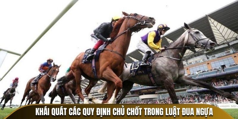Khái quát các quy định chủ chốt trong luật đua ngựa