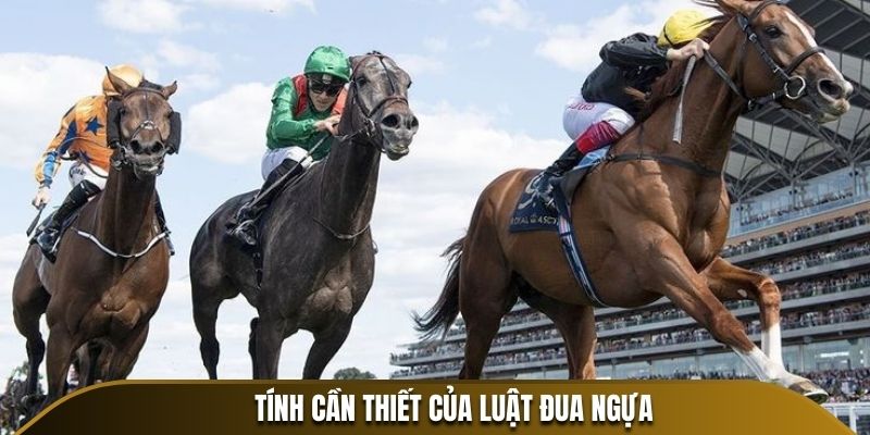 Tính cần thiết của luật đua ngựa