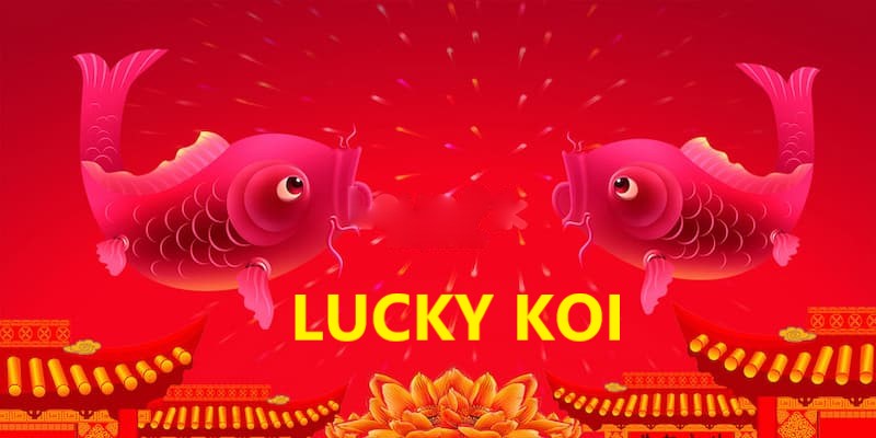 Giới thiệu về Lucky Koi